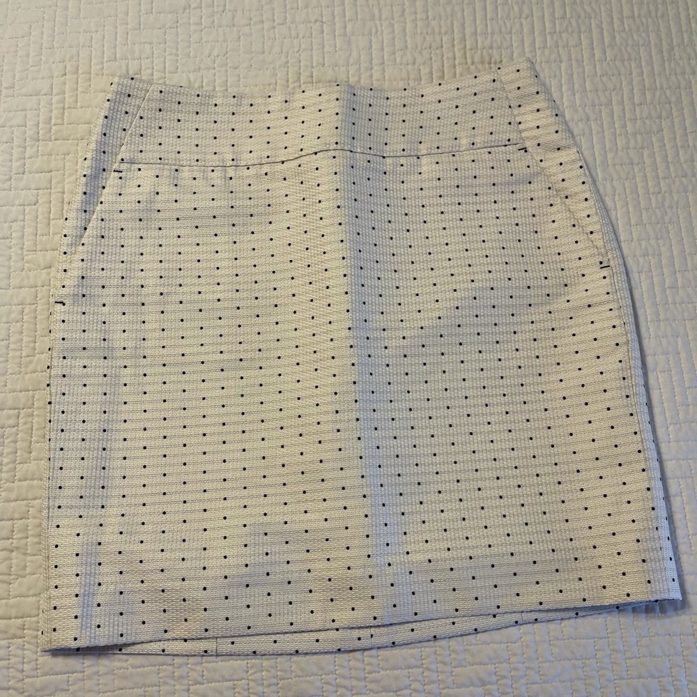 Ann Taylor Pencil Skirt